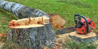 Best Hazardous Tree Removal  in Childersburg, AL