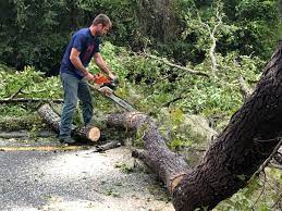 Best Aeration Services  in Childersburg, AL