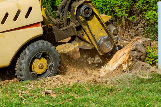Best Landscape Design and Installation  in Childersburg, AL