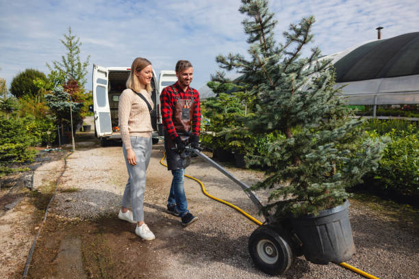 Best Lawn Drainage Solutions  in Childersburg, AL