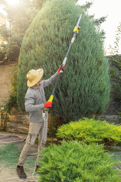Best Grass Overseeding  in Childersburg, AL